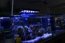 W22 Series LED Shell Kit Heatsink Sets for Aquarium Light