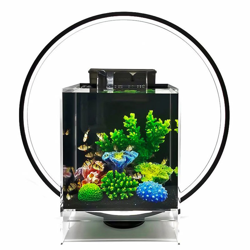 Circle Full Spectrum Plant Grow Light with Display Stand, for Terrarium, Nano Fish Aquarium, Bonsai, Potted Plants