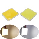 60W LED COB Light Module 100*95mm DC 12V 5A White/ Warm White