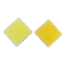 60W LED COB Light Module 100*95mm DC 12V 5A White/ Warm White