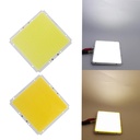 60W LED COB Light Module 100*95mm DC 12V 5A White/ Warm White