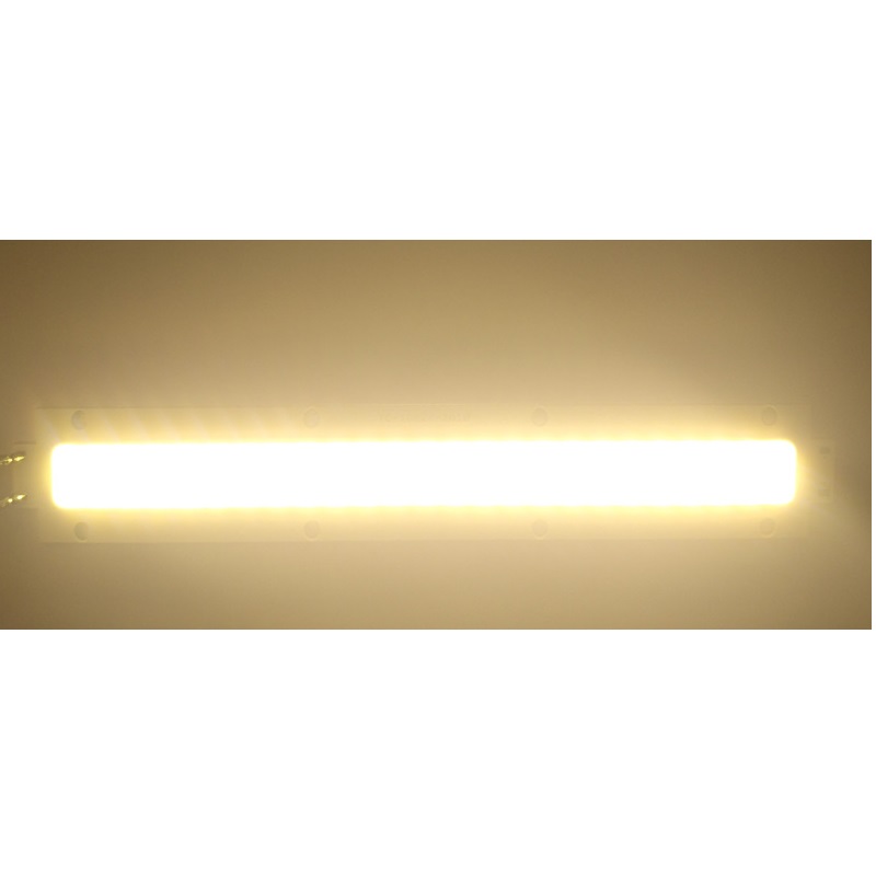 50W LED COB Light Bar Module 1500mA Warm White/ White 30V 180*27mm 
