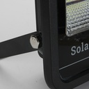 40W 60W 100W 150W COB Solar LED Flood Light with Remote Control