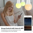 4.5W WiFi Smart LED Bulb E27 E22 RGBW Bulb