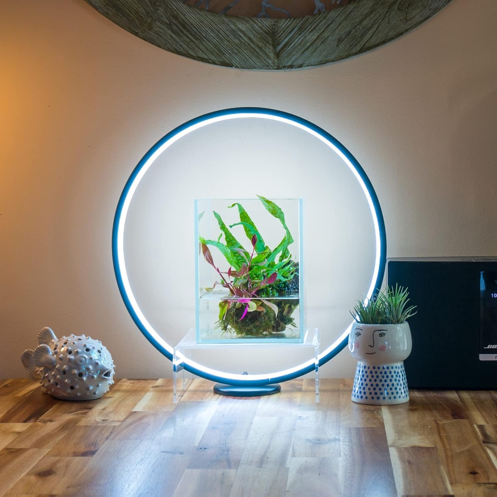 Circle Full Spectrum Plant Grow Light w/Display Stand, for Terrarium, Nano Fish Aquarium, Bonsai, Potted Plants