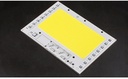 50W 100W 150W 200W Anti-surge Driverless LED Light COB Chip Size 96x68mm 133x93mm 155x108mm 194x151mm
