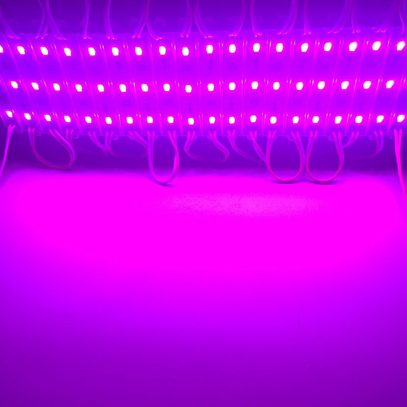 DC12V SMD 5730 5630 LED Module Waterproof IP66 Pink Color 3 LEDs 100pcs/lot 