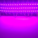 DC12V SMD 5730 5630 LED Module Waterproof IP66 Pink Color 3 LEDs 100pcs/lot 
