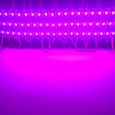 DC12V SMD 5730 5630 LED Module Waterproof IP66 Pink Color 3 LEDs 100pcs/lot 