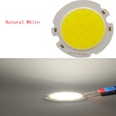 10W/15W/20W/25W/30W LED COB Module LED COB Round Panel 43MM Warm White/White/Cold White