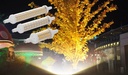 10W 15W 20W R7S 2835 SMD LED Corn Bulb Lamp AC220V-240V LED Ceramic Floodlight