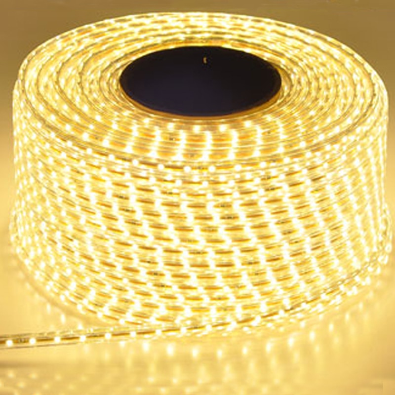 AC 220V 2835 SMD Flexible Rope Light 120 LEDs/m High Brightness Outdoor Indoor Decoration