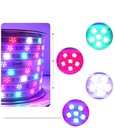 AC 220V 2835 SMD LED Flexible Strip 276LEDs/m Three Row/Plum Blossom Shape Emitting White/Warm White/Blue