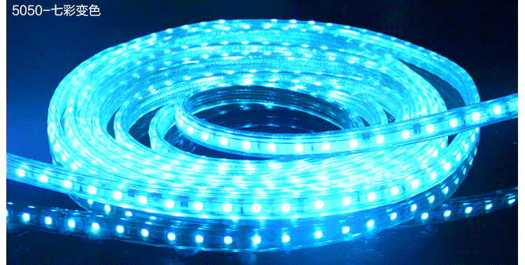 AC 220V 5050 SMD LED Flexible Strip 60LEDs/m 7 Colors RGB Flash Light