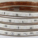 AC 220V 5050 SMD LED Flexible Strip 60LEDs/m Emitting RGB Colorful Flash