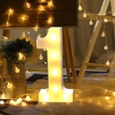 Battery Powered LED Letter/Numeric Shape Novelty Fairy Light