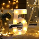 Battery Powered LED Letter/Numeric Shape Novelty Fairy Light