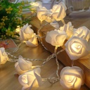 Battery Powered LED Rose Light String 1M/2M/3M/4M/5M/8M/10M