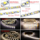 DC12V 5025 SMD Flexible LED Strip 60LEDs/m Emitting Double Color Warm White + Cold White