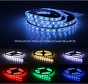 DC 24V 5050 SMD Flexible LED Strip 60LEDs/m Emitting RGB RGBW White Warm White