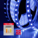 DC 12V/24V 5050 SMD Flexible LED Strip 60LEDs/m Emitting RGBCCT 5 Color in 1 Chips RGB+WW+CW