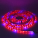 DC 12V 5050 SMD Flexible LED Strip  60LEDs/m Plant Grow Lights Red Blue 3:1, 4:1, 5:1, for Greenhouse Hydroponic Plant Growing