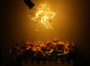 3W E27 LED Five-pointed Star Edison Bulb AC220-240V Home Light LED Filament Light Bulb