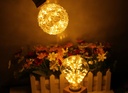 3W E27 LED Pineapple Edison Bulb AC220V Home Light LED Filament Light Bulb