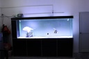 H40 LED Sea Water Coral Aquarium Light Black