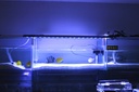 H40 LED Sea Water Coral Aquarium Light Black