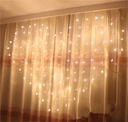 Plug Powered LED Heart Curtain Light String 2M 110V/220V