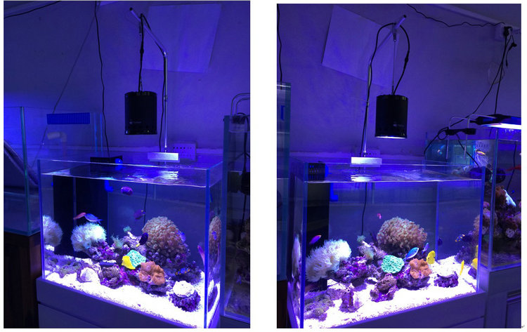 OnlyAquar A7 LED Sea Water Coral Aquarium Light