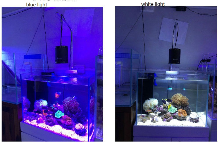 OnlyAquar A7 LED Sea Water Coral Aquarium Light