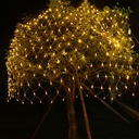 Plug Powered LED Net Curtain Light String 2M 110V/220V