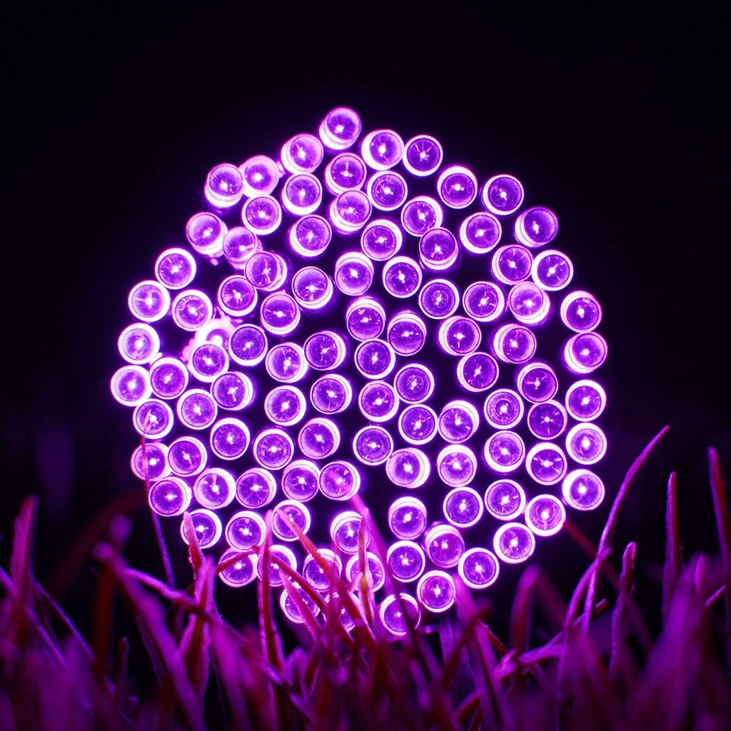 Solar Powered LED Fairy Light String 7M/12M/22M 8 Modes