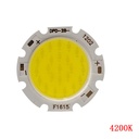 12W LED COB Module LED COB Round Panel DC36-39V/300mA 28MM Warm /Natural White/White 