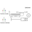 F8 8mm Diffused RGB LED Common Anode Common Cathode Tri-Color Emitting Diodes