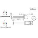 F8 8mm Diffused RGB LED Common Anode Common Cathode Tri-Color Emitting Diodes