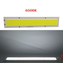  10W LED COB Light Bar Module 150*26mm 12-14V 800mA Warm White/ White  