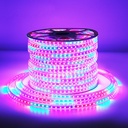 AC 220V 5050 SMD LED Flexible Strip 60LEDs/m Emitting RGB Colorful Flash