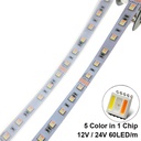 DC 12V/24V 5050 SMD Flexible LED Strip 60LEDs/m Emitting RGBCCT 5 Color in 1 Chips RGB+WW+CW