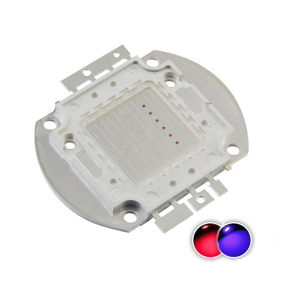 20W High Power LED Emitter Color Red/Blue