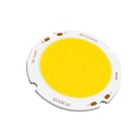 10W/15W/20W/30W LED COB Module LED COB Round Panel 54mm PCB 42mm Emitting Area White Warm/Neutral White