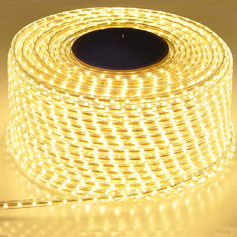 220V 2835 SMD Waterproof Led Strip Light with EU Plug 60Leds/m 120 Leds/m High Brightness Outdoor Indoor Decoration