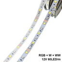 DC 12V 5050 SMD Flexible LED Strip 60LEDs/m Emitting RGB+CCT /RGB + White + Warm White