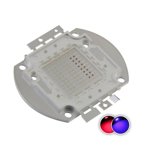 50W High Power LED Emitter Color Red/Blue