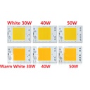  30W 40W 50W LED Light COB Chip Driverless AC 110V/220V Emitting White/Warm White