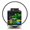 Circle Full Spectrum Plant Grow Light with Display Stand, for Terrarium, Nano Fish Aquarium, Bonsai, Potted Plants